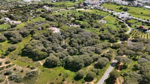Terreno para Venda em Porches