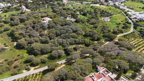 Terreno para Venda em Porches