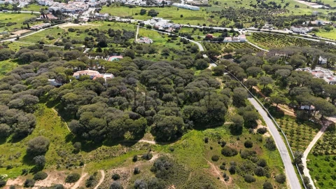 Terreno para Venda em Porches