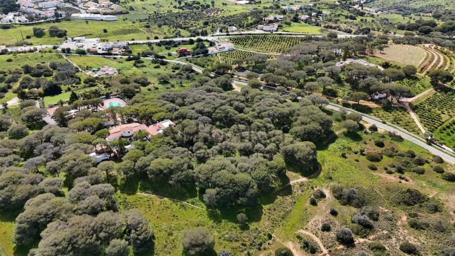Terreno para Venda em Porches Foto 5