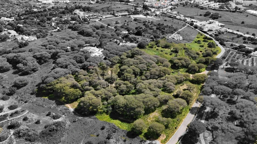 Terreno para Venda em Porches Foto 6