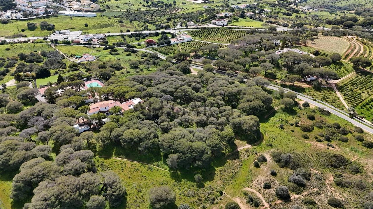 Terreno para Venda em Porches Foto 5
