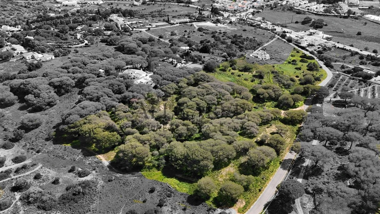 Terreno para Venda em Porches Foto 6