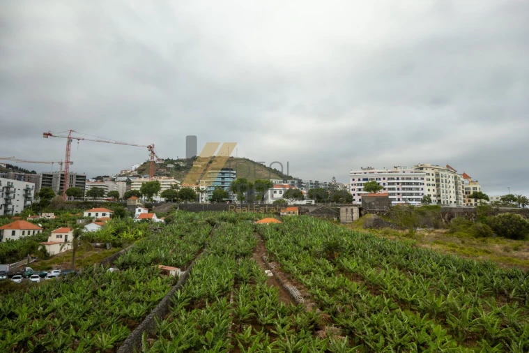 Apartamento T3 para Venda em São Martinho Foto 51