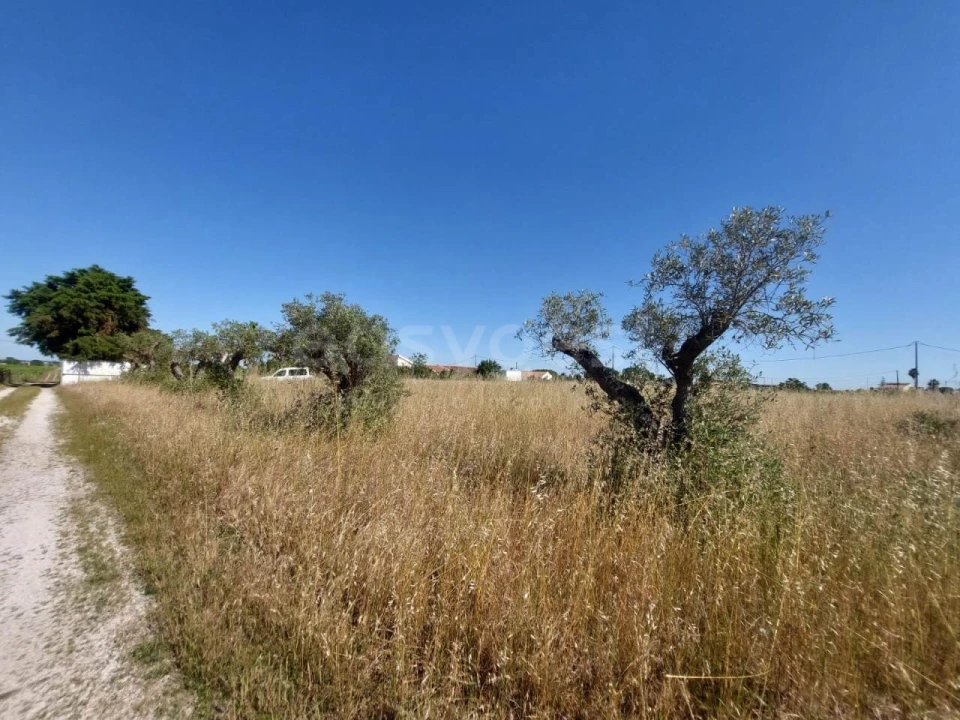 Terreno Agricola ou Rústico para Venda em Palmela Foto 2