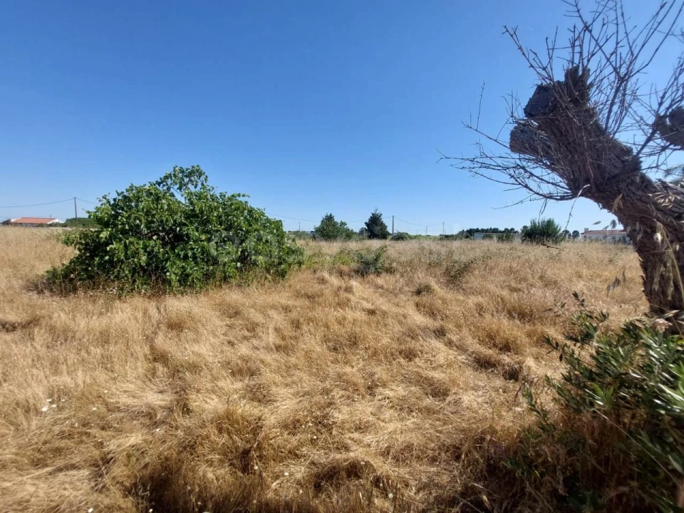 Terreno Agricola ou Rústico para Venda em Palmela Foto 3