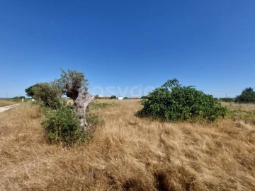 Terreno Agricola ou Rústico para Venda em Palmela