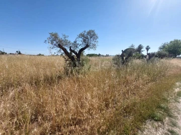 Terreno Agricola ou Rústico para Venda em Palmela