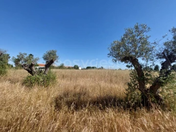 Terreno Agricola ou Rústico para Venda em Palmela
