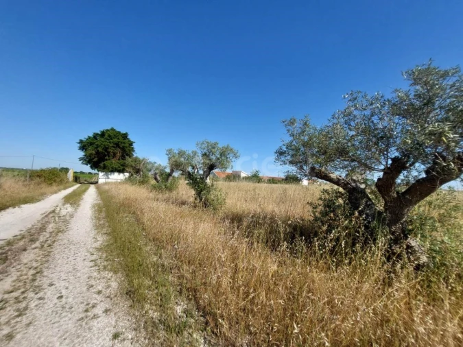Terreno Agricola ou Rústico para Venda em Palmela Foto 6