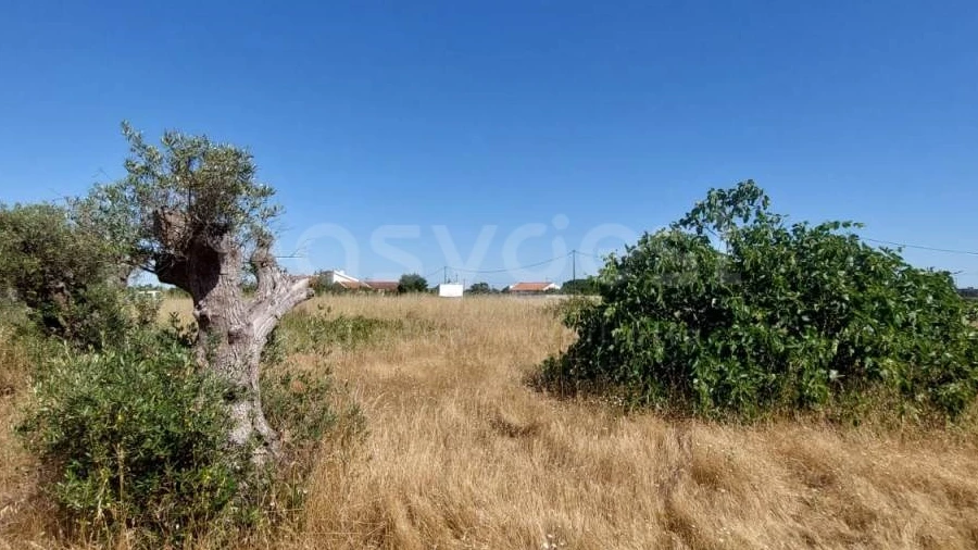 Terreno Agricola ou Rústico para Venda em Palmela