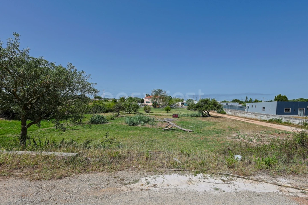 Quinta T3 para Venda em Quinta do Anjo Foto 6