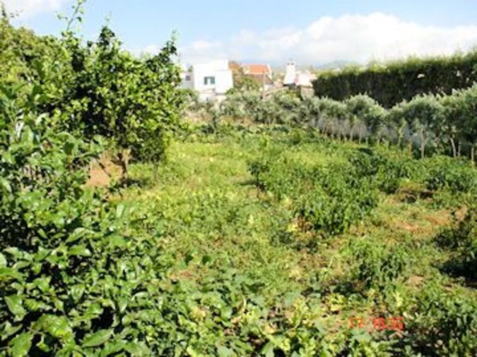 Moradia T5 para Venda em Rabo de Peixe Foto 25