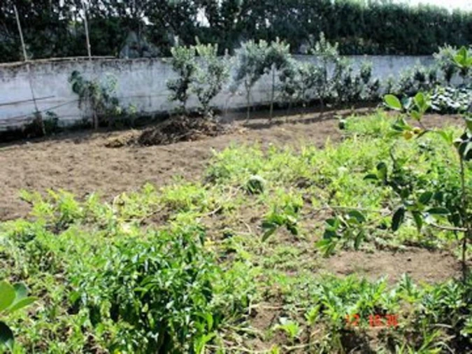 Moradia T5 para Venda em Rabo de Peixe Foto 24