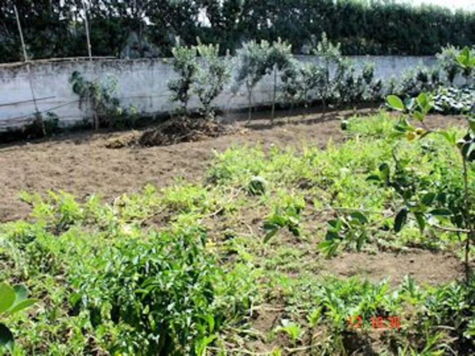 Moradia T5 para Venda em Rabo de Peixe Foto 24