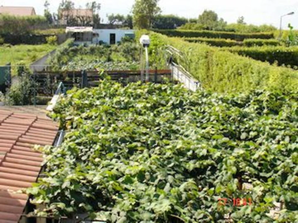 Moradia T5 para Venda em Rabo de Peixe Foto 28