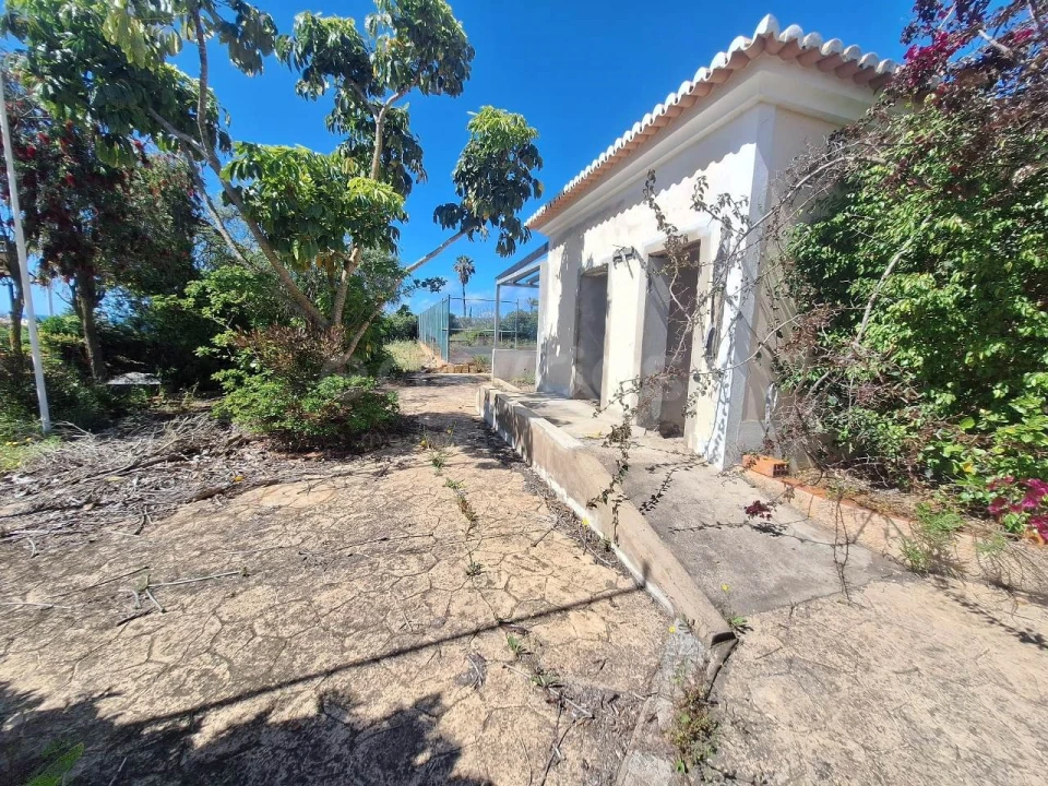 Terreno para Venda em Luz Foto 16