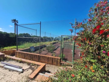 Terreno para Venda em Luz