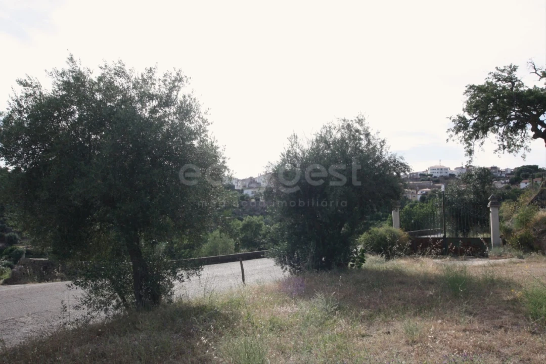 Terreno para Venda em Ladoeiro Foto 10