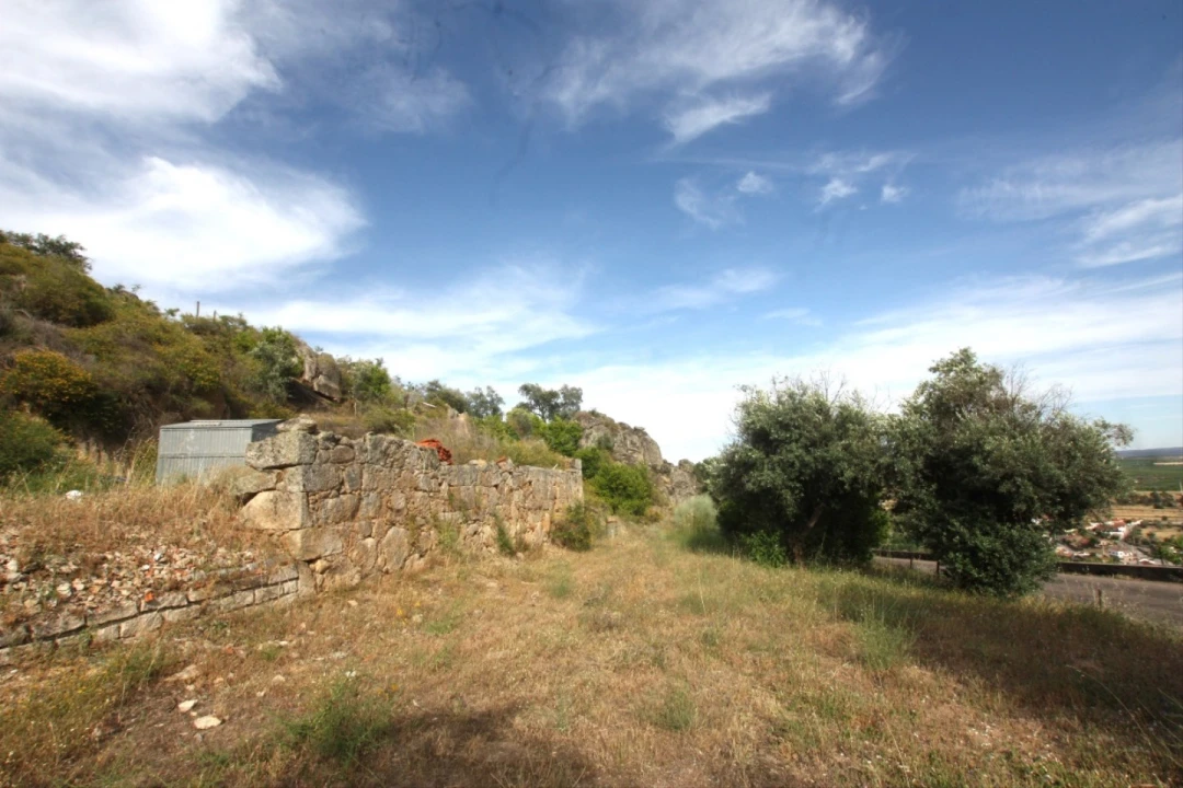 Terreno para Venda em Ladoeiro Foto 11