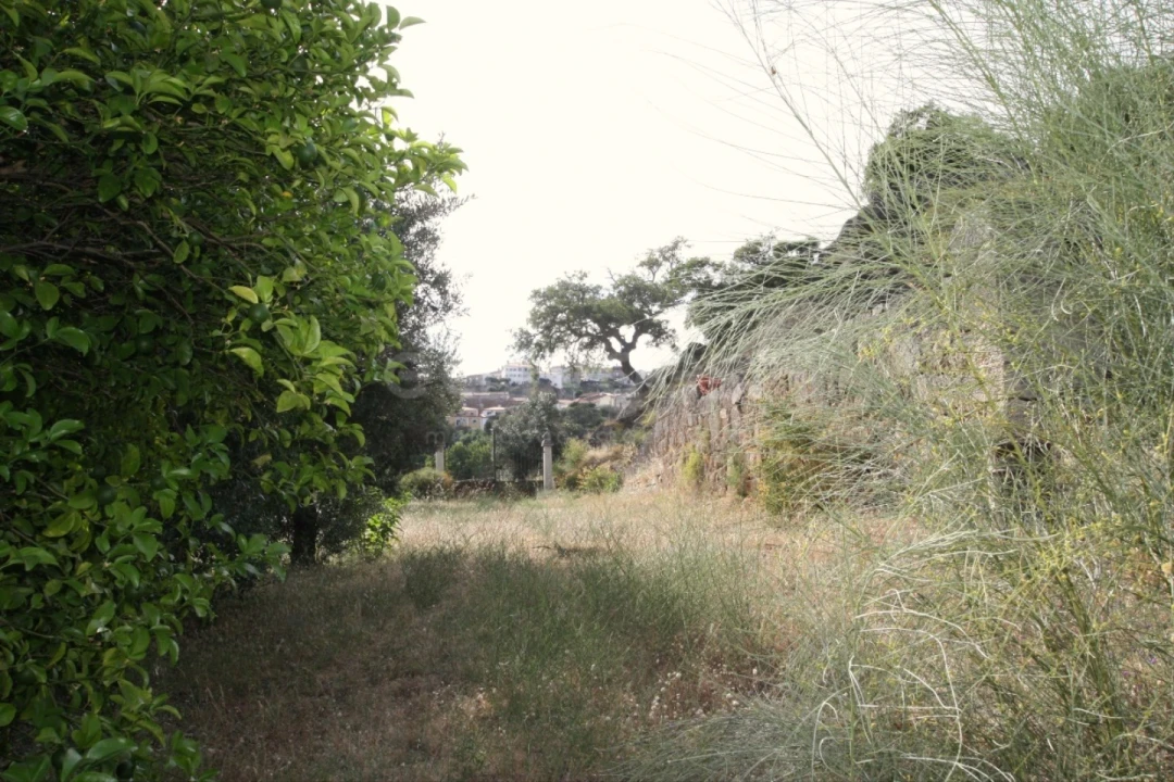 Terreno para Venda em Ladoeiro Foto 16