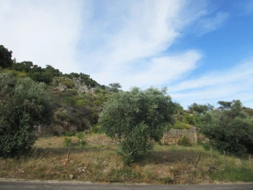 Terreno para Venda em Ladoeiro