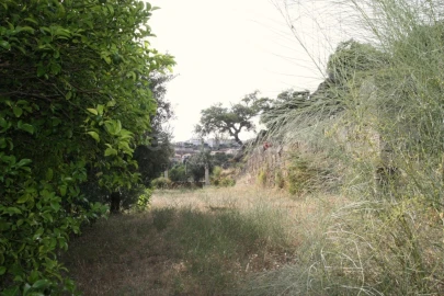 Terreno para Venda em Ladoeiro