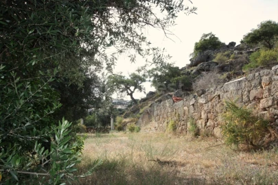 Terreno para Venda em Ladoeiro