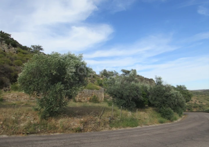 Terreno para Venda em Ladoeiro Foto 6