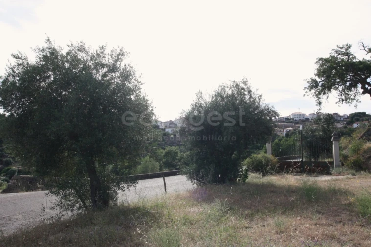 Terreno para Venda em Ladoeiro Foto 10