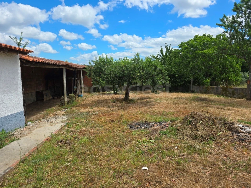 Moradia T3 para Venda em São João da Boa Vista Foto 24