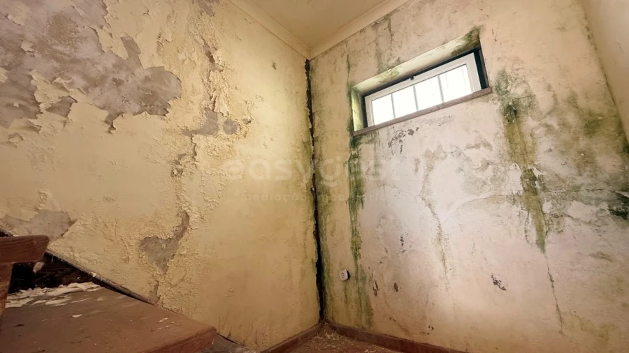 Prédio para Venda em Tortosendo Foto 16