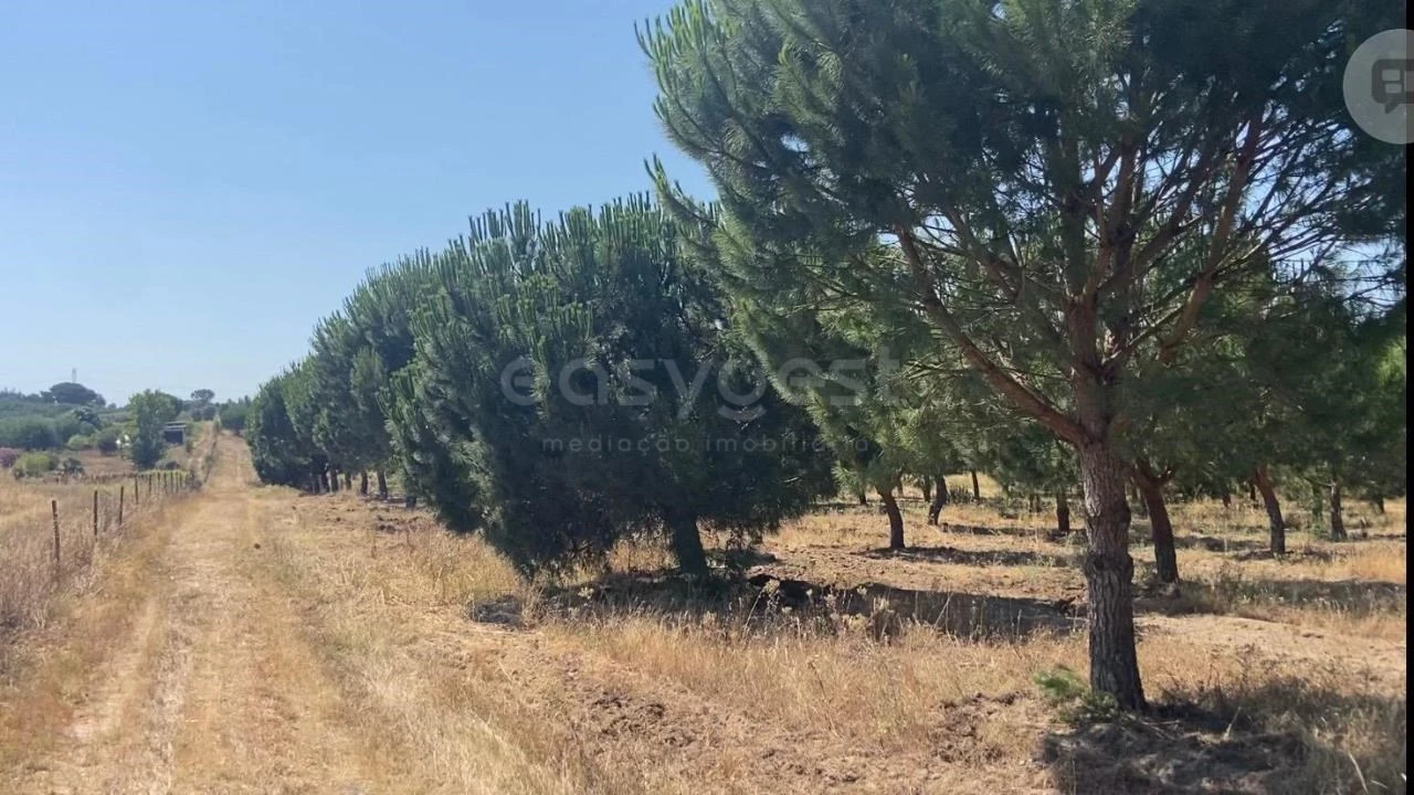 Terreno Agricola ou Rústico para Venda em Vendas Novas Foto 1