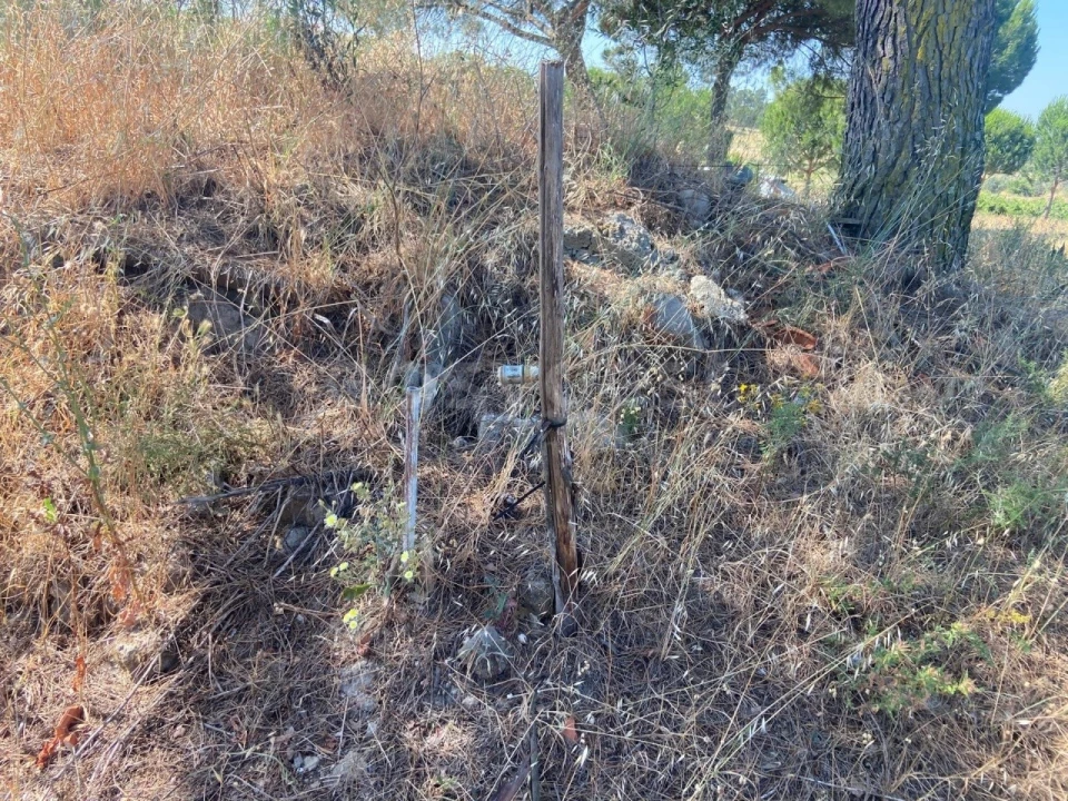 Terreno Agricola ou Rústico para Venda em Vendas Novas Foto 5