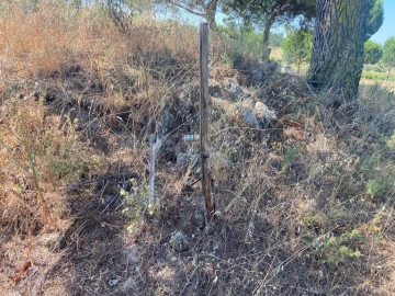 Terreno Agricola ou Rústico para Venda em Vendas Novas
