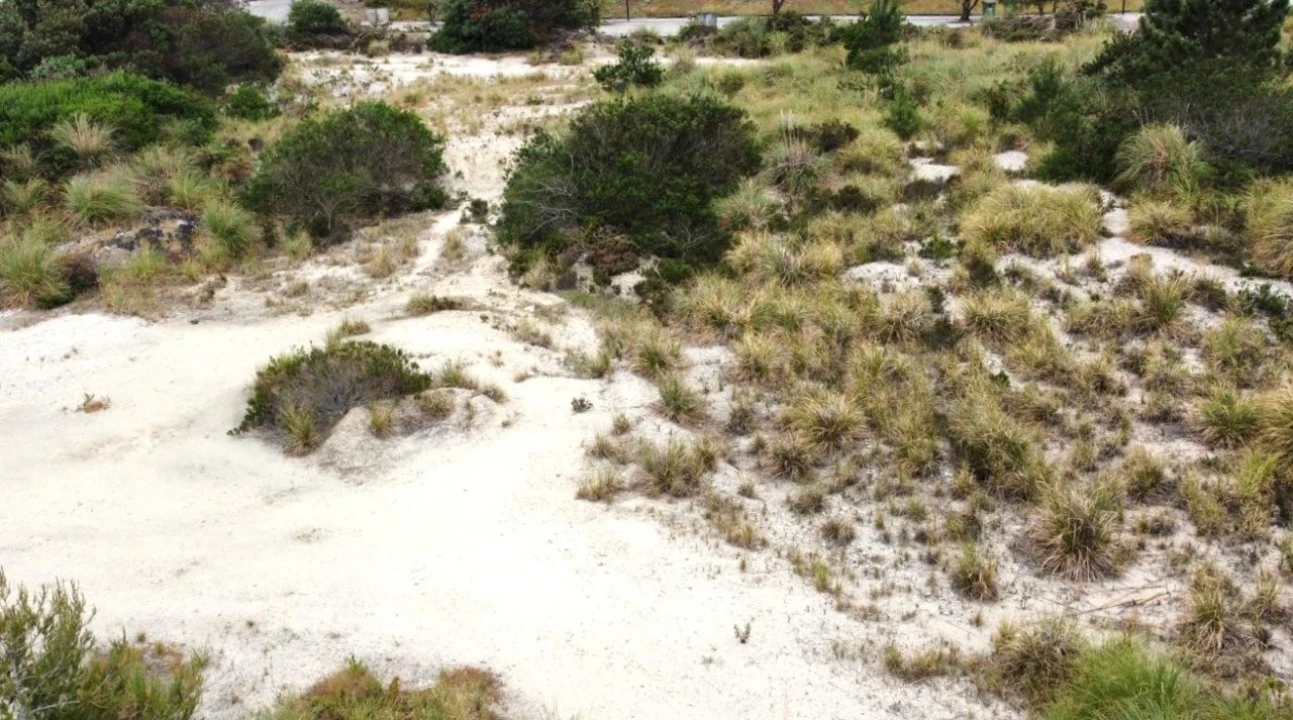 Terreno para Venda em Vau Foto 4
