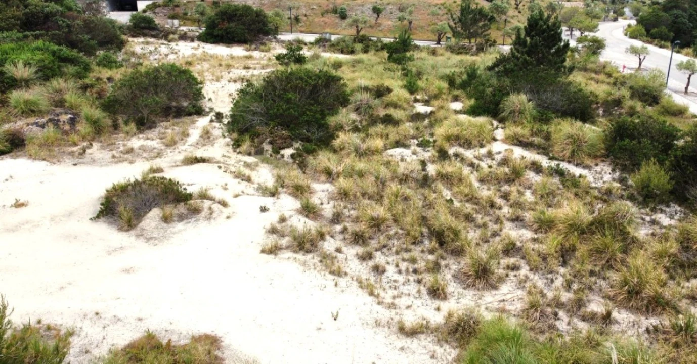 Terreno para Venda em Vau Foto 5