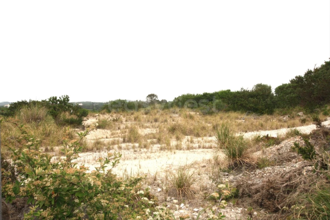 Terreno para Venda em Vau Foto 6