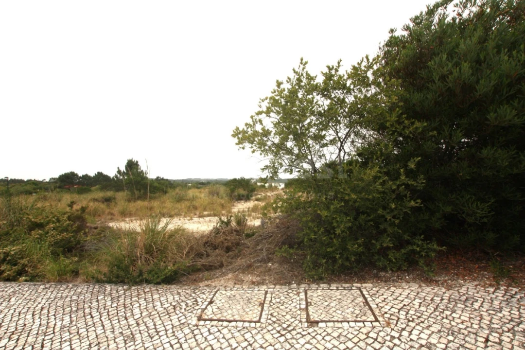 Terreno para Venda em Vau Foto 8