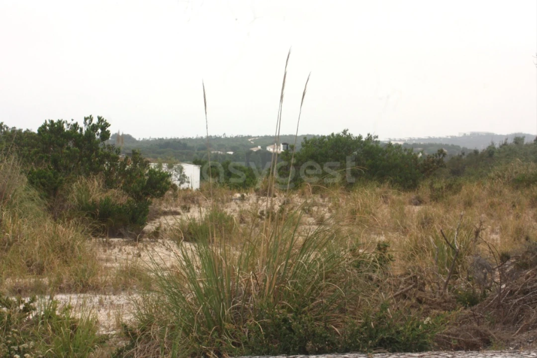 Terreno para Venda em Vau Foto 12