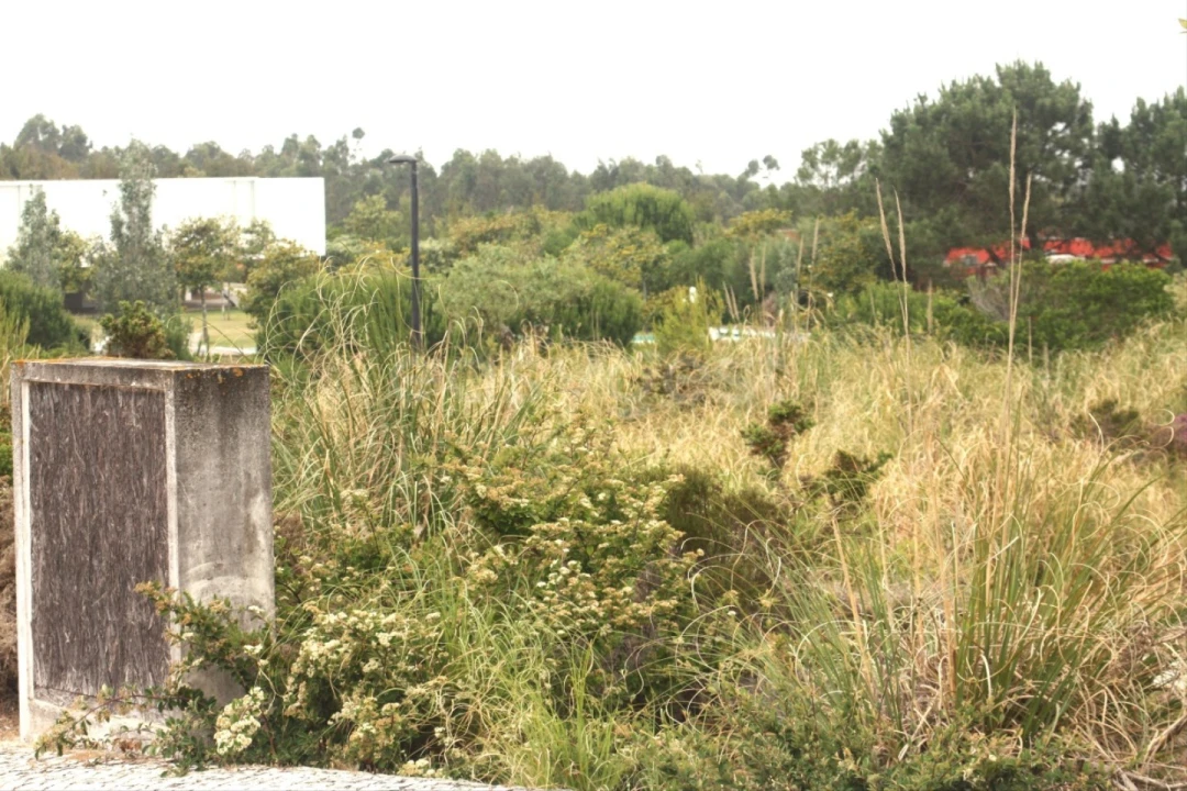 Terreno para Venda em Vau Foto 13