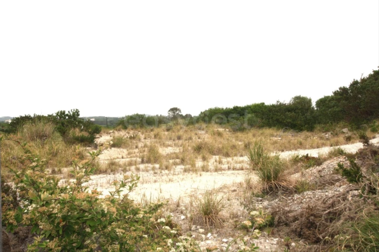 Terreno para Venda em Vau Foto 6