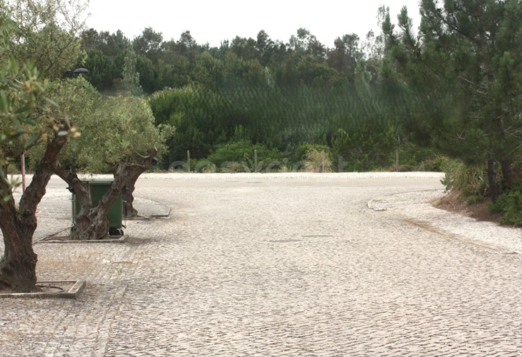Terreno para Venda em Vau Foto 10