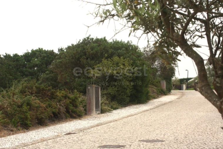 Terreno para Venda em Vau Foto 11
