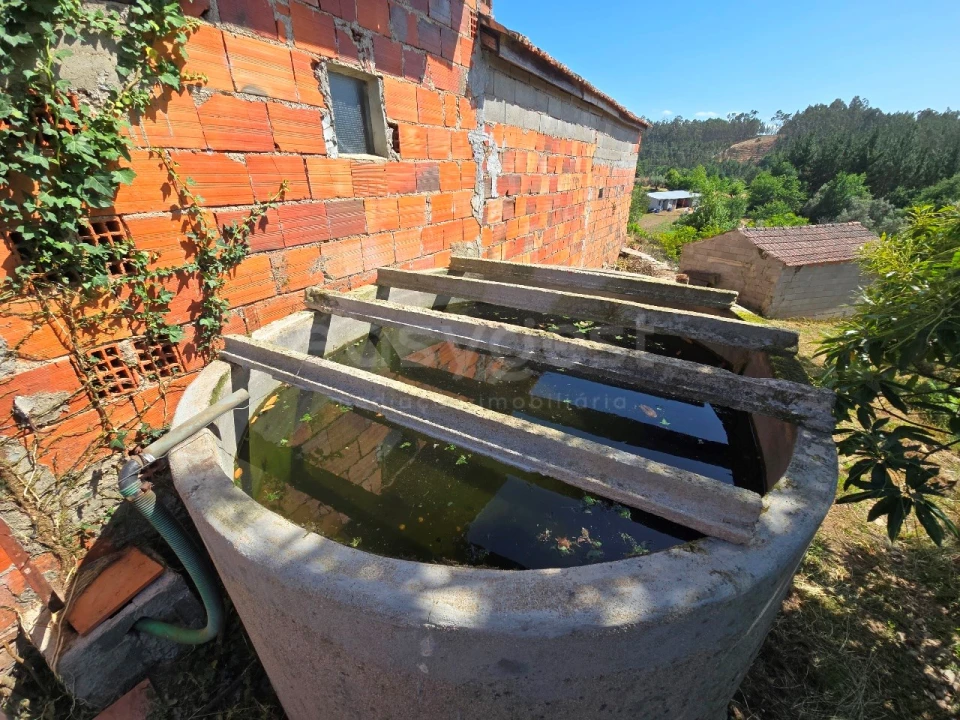 Quinta T4 para Venda em Mouronho Foto 11