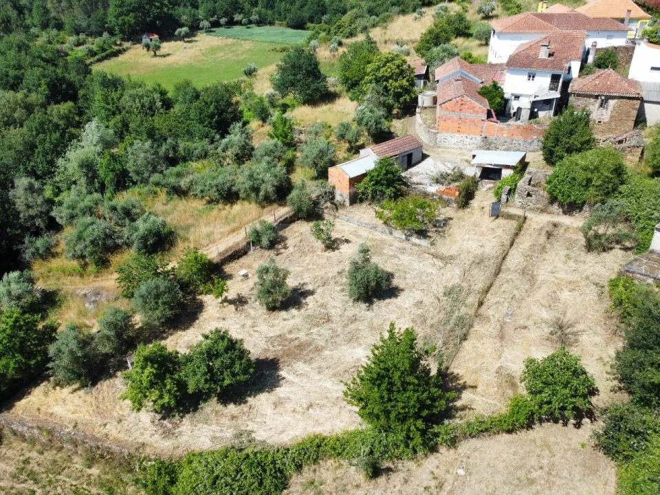 Quinta T4 para Venda em Mouronho Foto 36