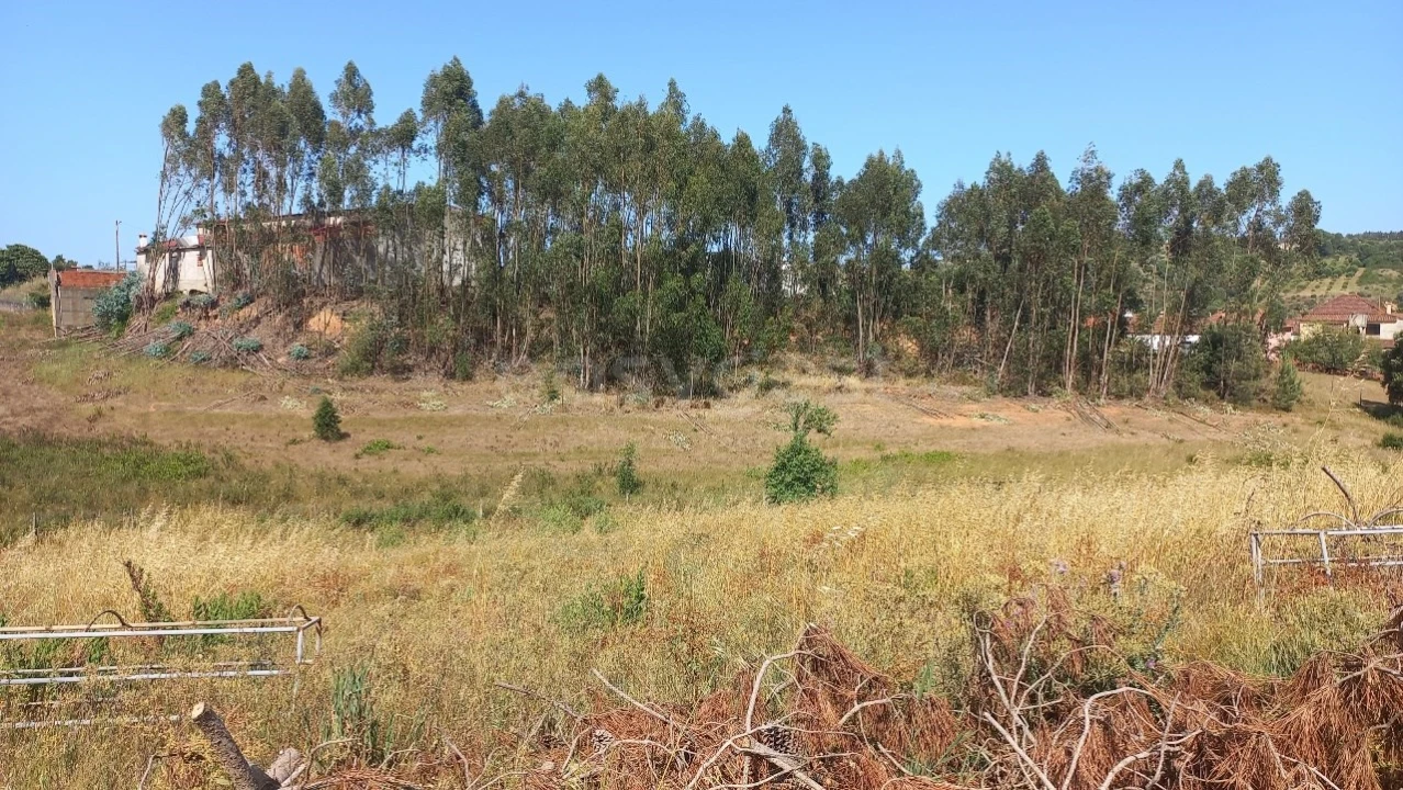 Moradia T5 para Venda em Azoia de Cima e Tremês Foto 22