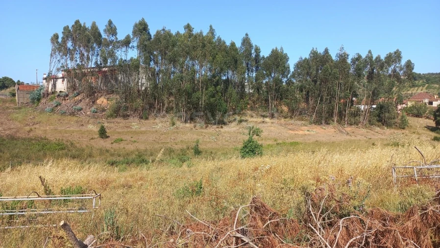 Moradia T5 para Venda em Azoia de Cima e Tremês Foto 22