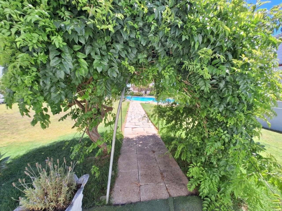 Apartamento T1 para Venda em Vila de Sagres Foto 16