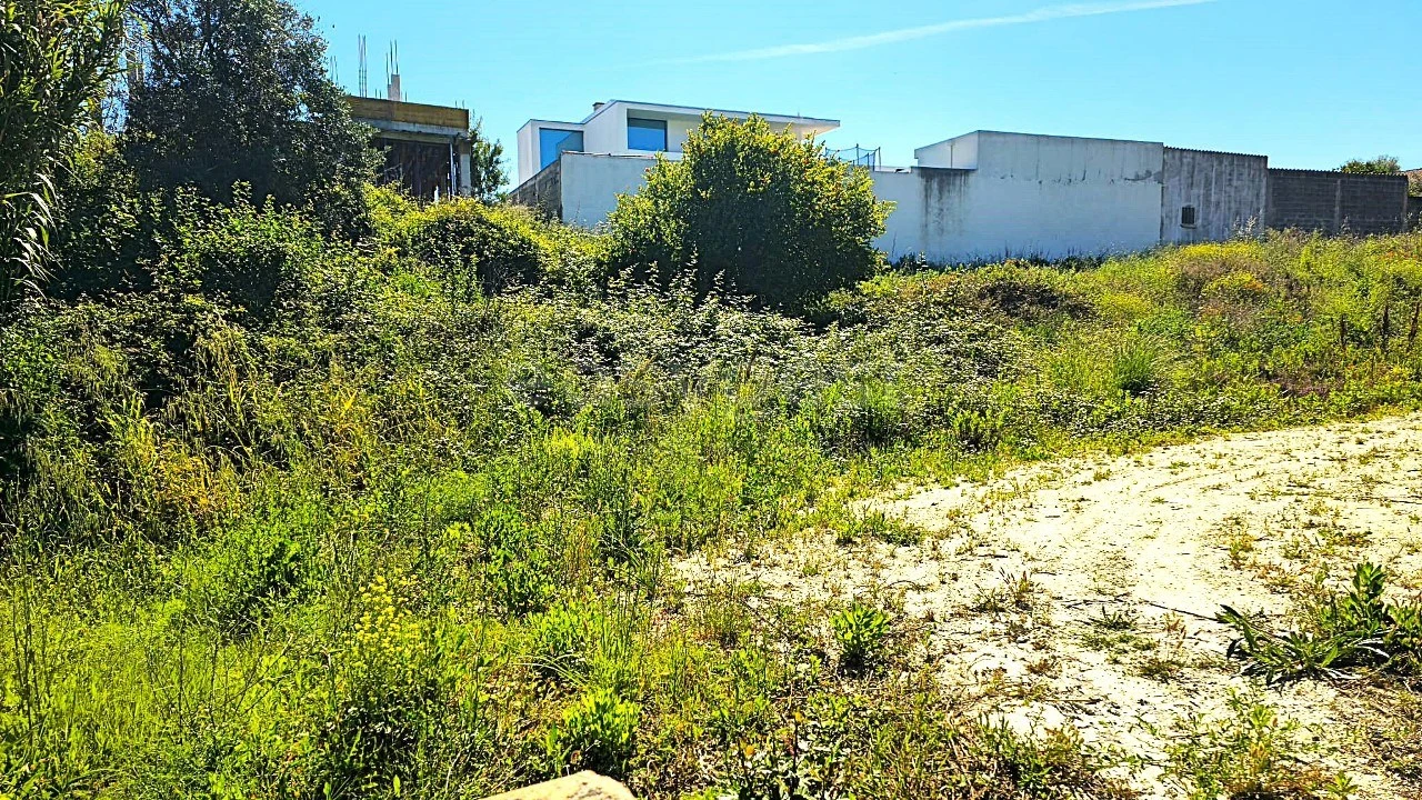 Terreno para Venda em Torres Novas (Santa Maria, Salvador e Santiago) Foto 2